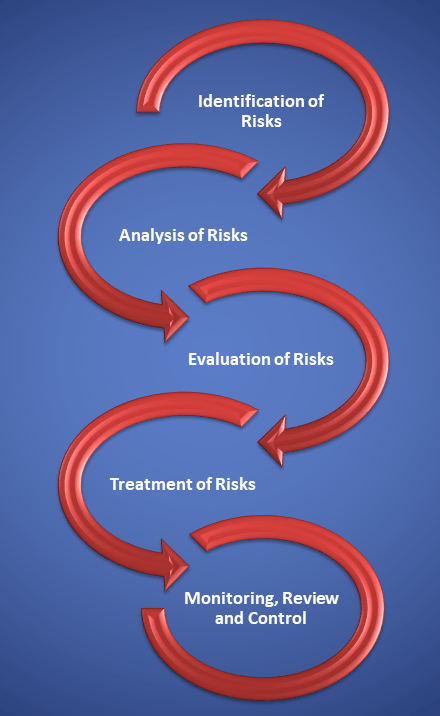 risk management