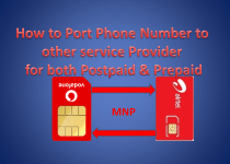 How to Port Phone Number