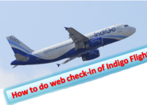 Indigo Web Check in Process