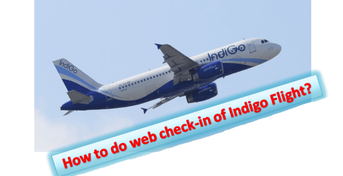 Indigo Web Check in Process