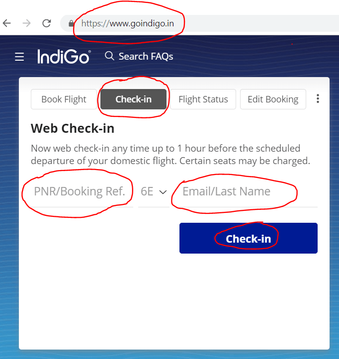 Indigo Web Check in Process