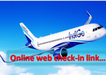 Indigo web check in link