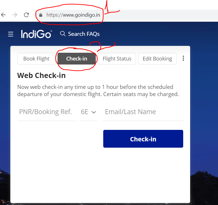 Indigo web check in link