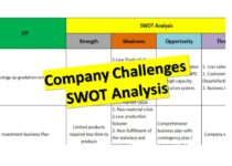 Company Challenges