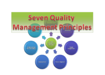 7 principles of QMS