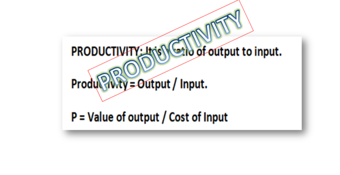 Types of Productivity with Example