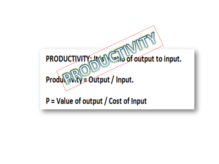 Types of Productivity with Example