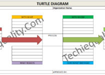 Turtle Diagram Example