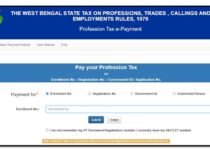 Professional tax online payment