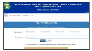 Professional tax online payment