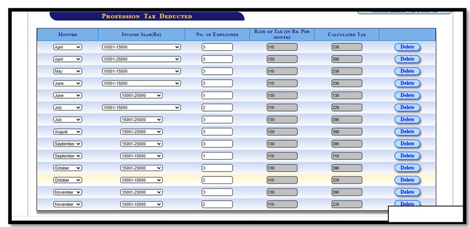 Professional tax return filing