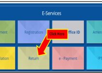 Professional tax return filing