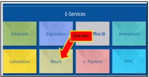 Professional tax return filing