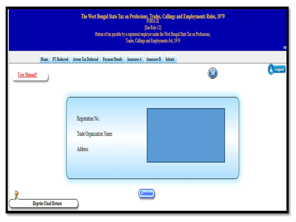 Professional tax return filing