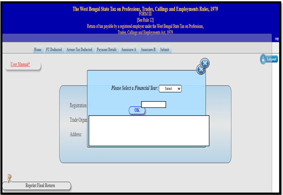 Professional tax return filing