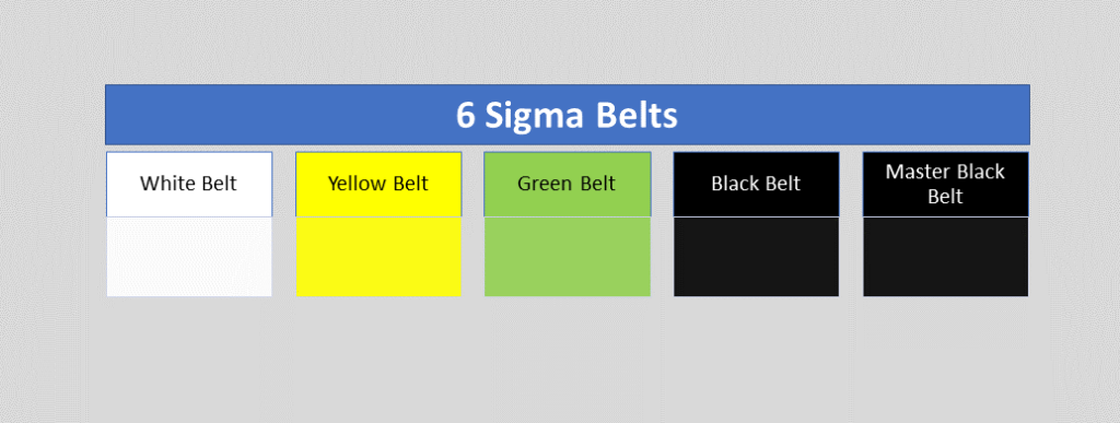 six sigma belts level