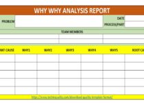 5 Whys Excel Template