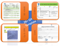 Quality Assurance Template