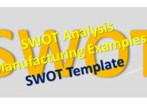 Detailed SWOT Analysis Examples